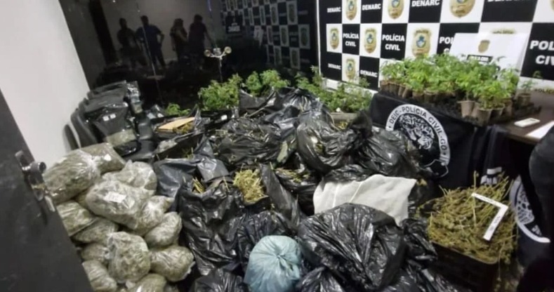 PCGO fecha laboratório de “supermaconha” e apreende R$ 2 mi em drogas
